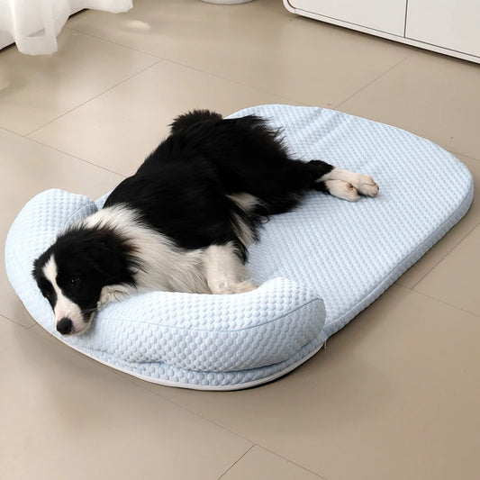 Coussin pour Chien